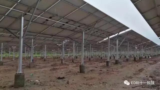 1499327764383970.jpg 10.jpg