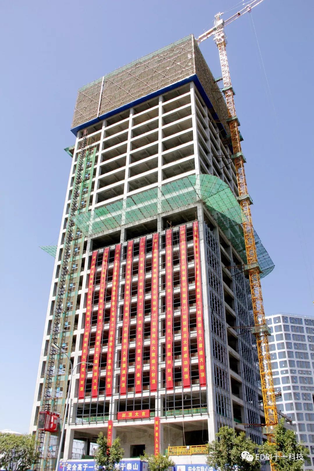 1558575917601445.jpg 2.jpg